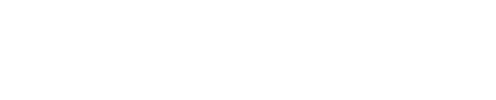 THW Logo